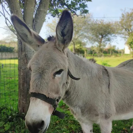 Et - Manoir Des Falaises